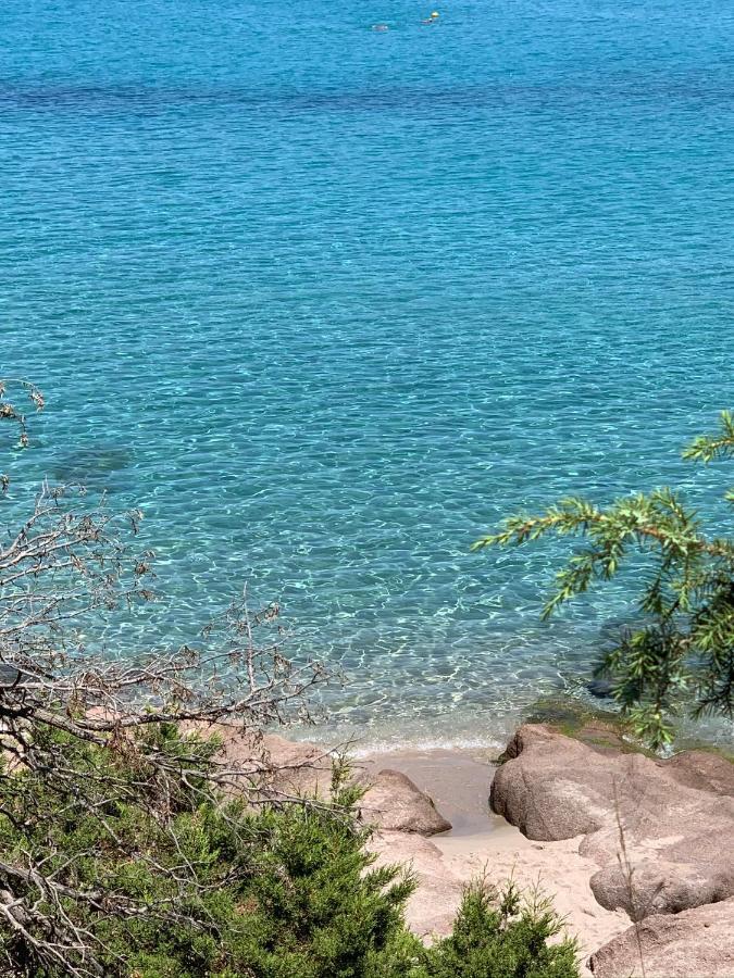 Le Ciliegie: Appartamento Moderno Isola Rossa Eksteriør bilde
